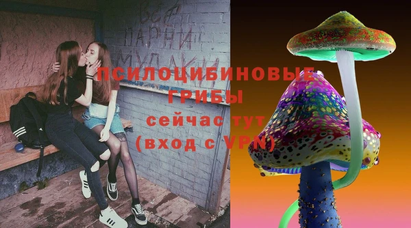 прущие крисы Вязники