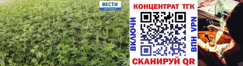 Купить закладки  Узловая  Дистиллят ТГК концентрат 